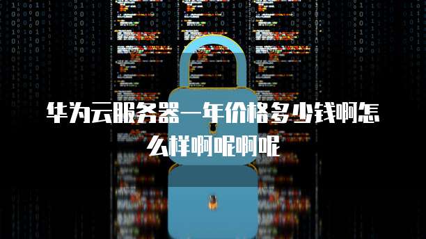 华为云服务器一年价格多少钱啊怎么样啊呢啊呢