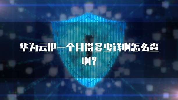 华为云IP一个月得多少钱啊怎么查啊？