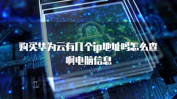 购买华为云有几个ip地址吗怎么查啊电脑信息
