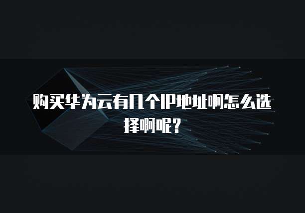 购买华为云有几个IP地址啊怎么选择啊呢?