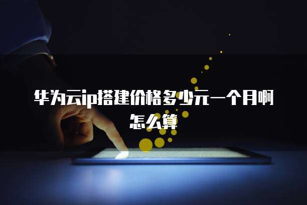 华为云ip搭建价格多少元一个月啊怎么算