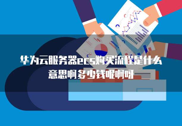 华为云服务器ecs购买流程是什么意思啊多少钱呢啊呀