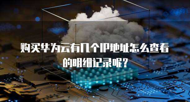 购买华为云有几个IP地址怎么查看的明细记录呢？