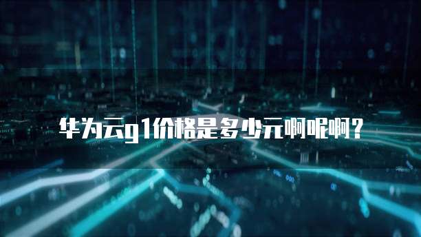 华为云g1价格是多少元啊呢啊?