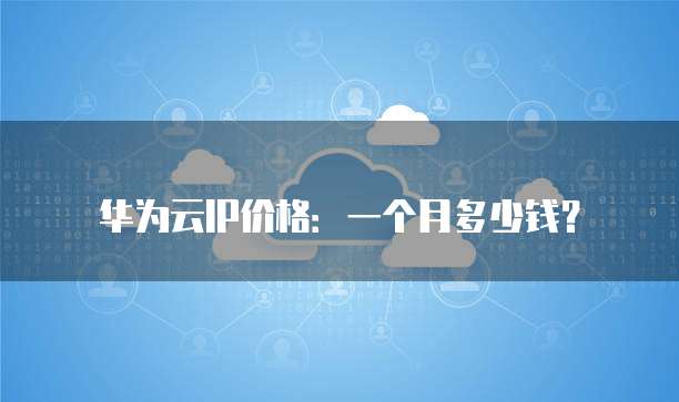 华为云IP价格:一个月多少钱?