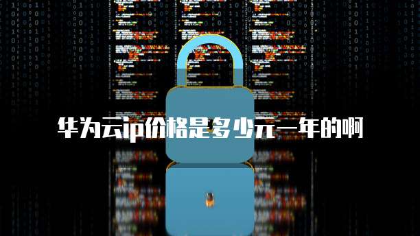 华为云ip价格是多少元一年的啊