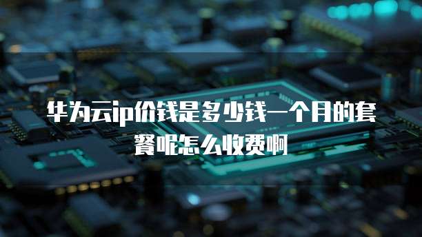华为云ip价钱是多少钱一个月的套餐呢怎么收费啊