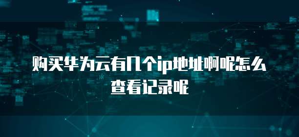 购买华为云有几个ip地址啊呢怎么查看记录呢