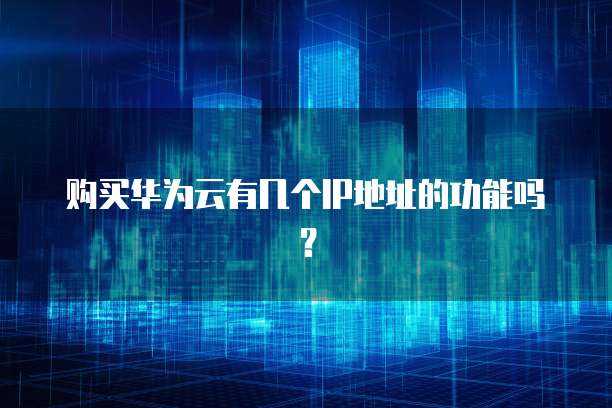购买华为云有几个IP地址的功能吗？