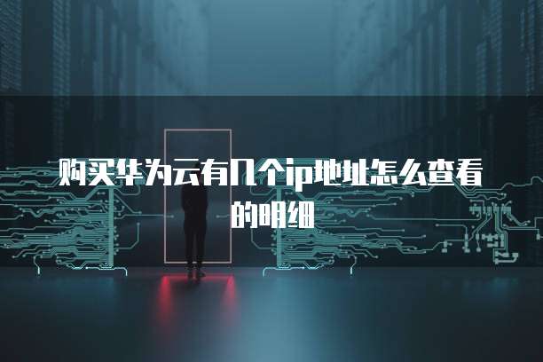 购买华为云有几个ip地址怎么查看的明细