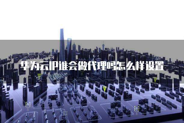 华为云IP谁会做代理吗怎么样设置