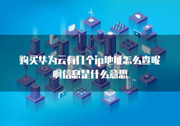 购买华为云有几个ip地址怎么查呢啊信息是什么意思