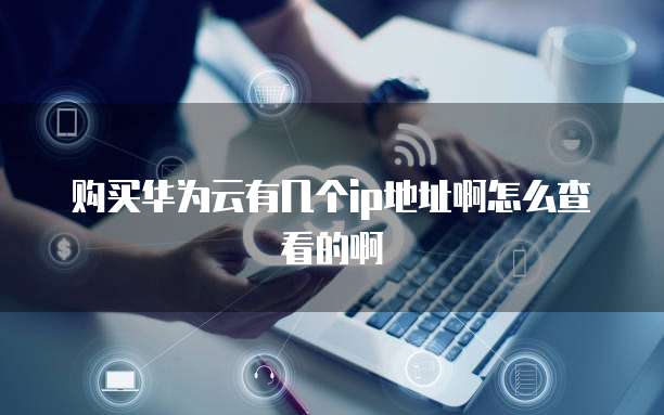 购买华为云有几个ip地址啊怎么查看的啊