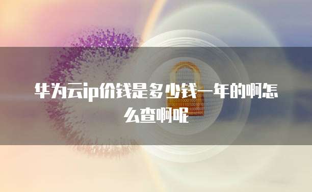 华为云ip价钱是多少钱一年的啊怎么查啊呢