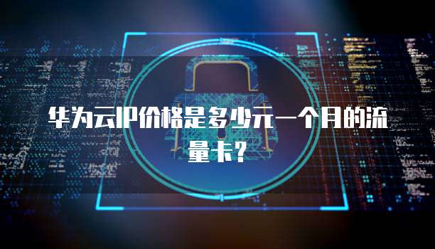 华为云IP价格是多少元一个月的流量卡?
