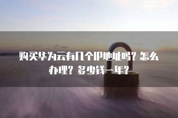 购买华为云有几个IP地址吗?怎么办理?多少钱一年?