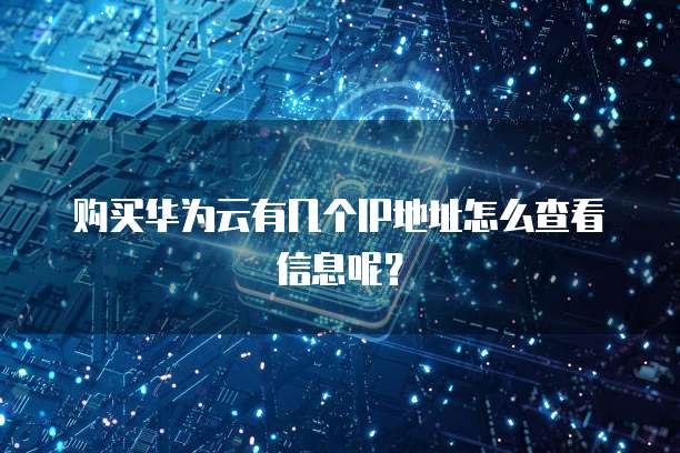 购买华为云有几个IP地址怎么查看信息呢?