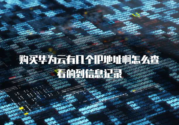 购买华为云有几个IP地址啊怎么查看的到信息记录