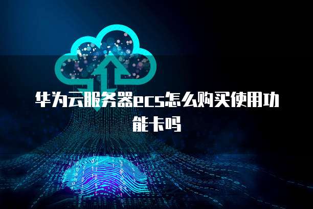 华为云服务器ecs怎么购买使用功能卡吗