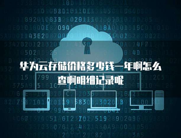 华为云存储价格多少钱一年啊怎么查啊明细记录呢