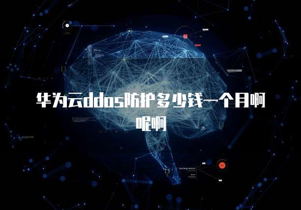 华为云ddos防护多少钱一个月啊呢啊