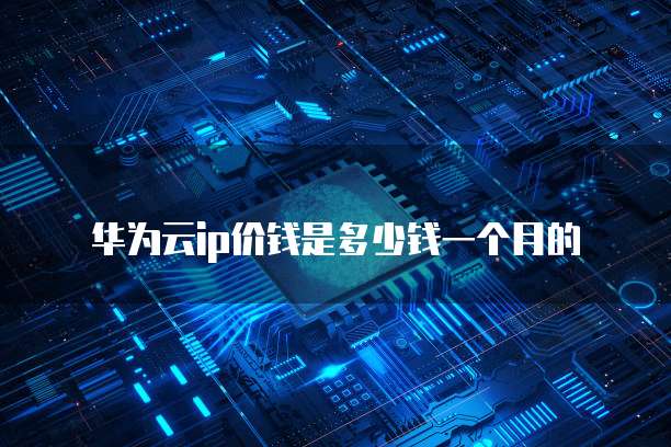 华为云ip价钱是多少钱一个月的