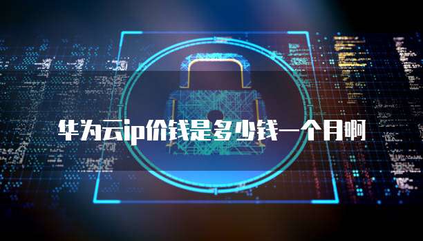 华为云ip价钱是多少钱一个月啊