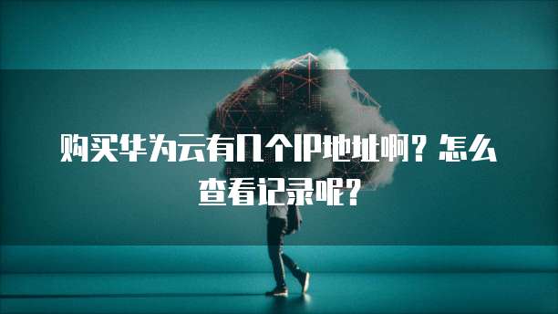 购买华为云有几个IP地址啊?怎么查看记录呢?