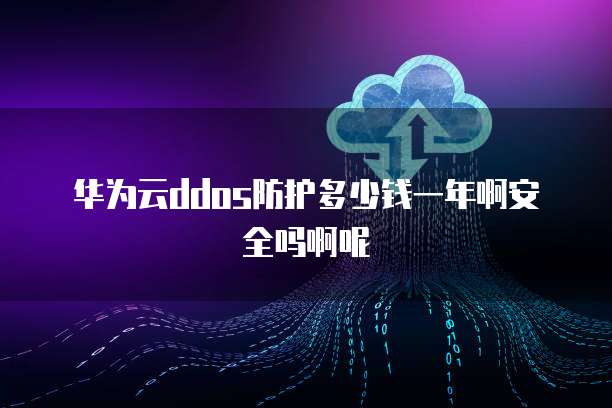 华为云ddos防护多少钱一年啊安全吗啊呢