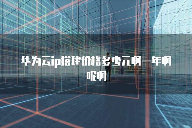 华为云ip搭建价格多少元啊一年啊呢啊