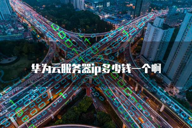 华为云服务器ip多少钱一个啊