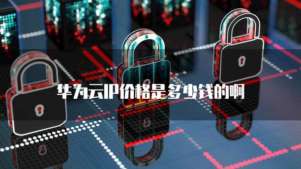 华为云IP价格是多少钱的啊