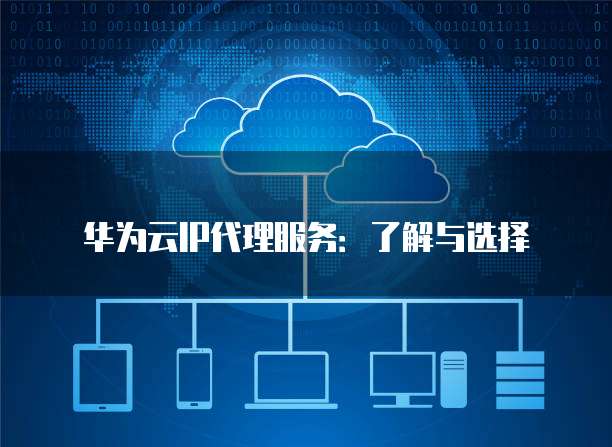 华为云IP代理服务：了解与选择