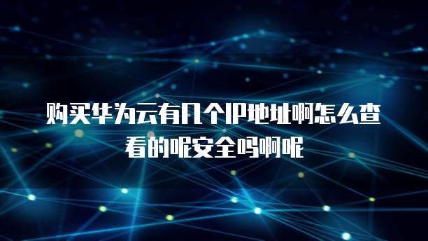 购买华为云有几个IP地址啊怎么查看的呢安全吗啊呢