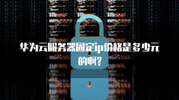 华为云服务器固定ip价格是多少元的啊?