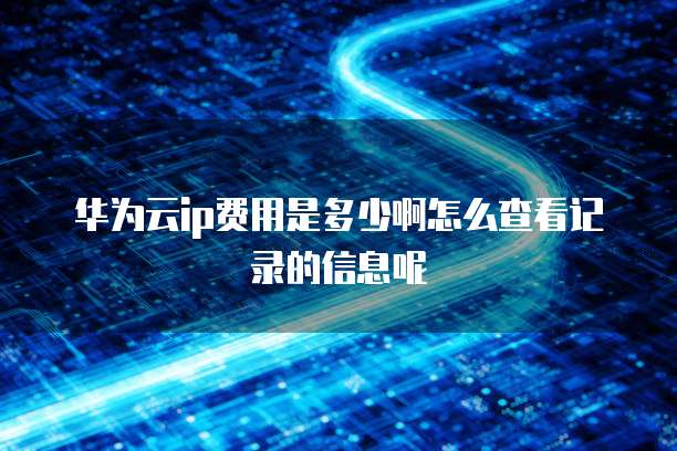 华为云ip费用是多少啊怎么查看记录的信息呢