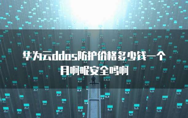 华为云ddos防护价格多少钱一个月啊呢安全吗啊