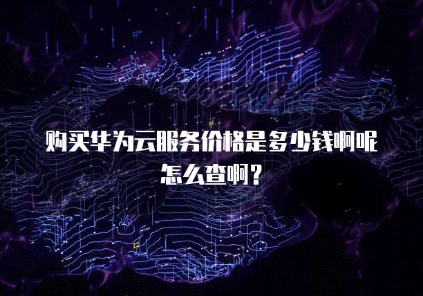 购买华为云服务价格是多少钱啊呢怎么查啊?