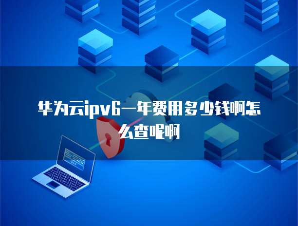 华为云ipv6一年费用多少钱啊怎么查呢啊