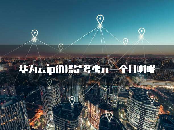 华为云ip价格是多少元一个月啊呢