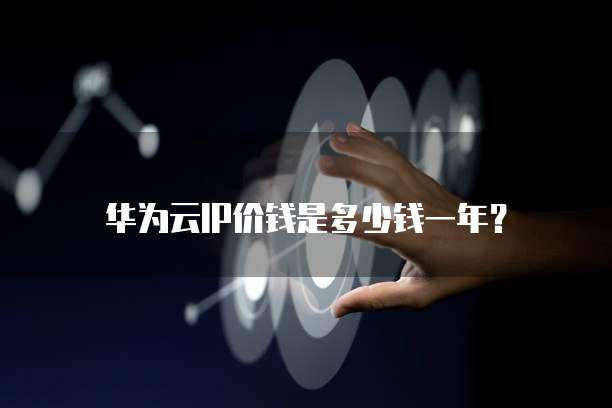 华为云IP价钱是多少钱一年？