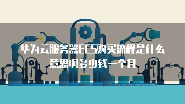 华为云服务器ECS购买流程是什么意思啊多少钱一个月