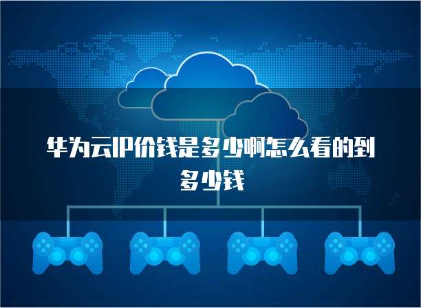 华为云IP价钱是多少啊怎么看的到多少钱