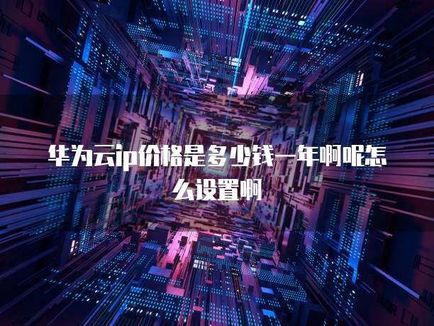 华为云ip价格是多少钱一年啊呢怎么设置啊