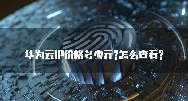 华为云IP价格多少元?怎么查看?