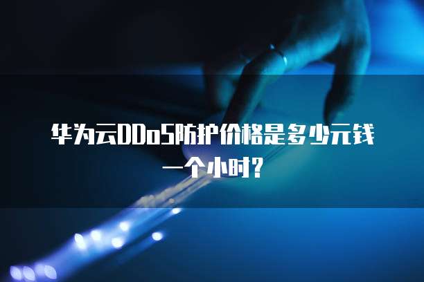 华为云DDoS防护价格是多少元钱一个小时？