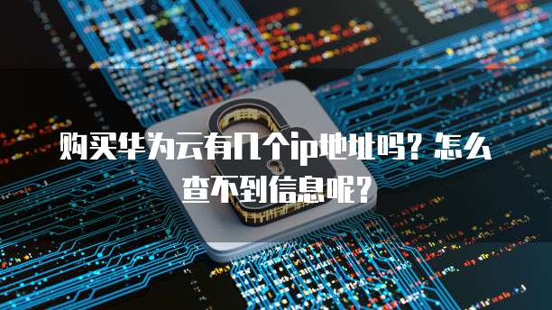 购买华为云有几个ip地址吗?怎么查不到信息呢?