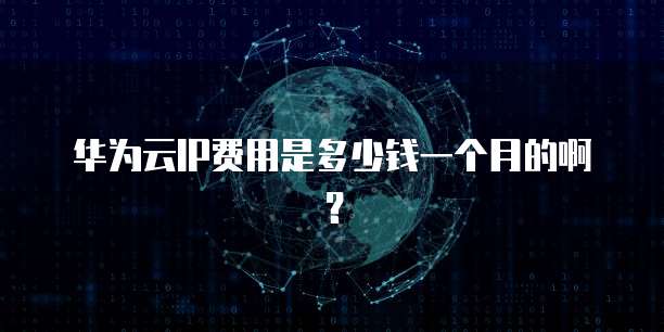 华为云IP费用是多少钱一个月的啊？