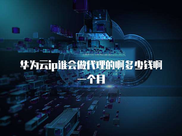 华为云ip谁会做代理的啊多少钱啊一个月