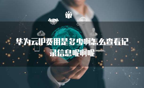 华为云IP费用是多少啊怎么查看记录信息呢啊呢